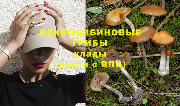 эйфоретик Каменск-Шахтинский