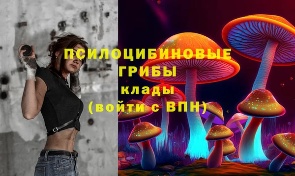 ешки Каменка